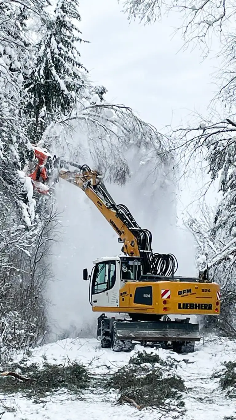 Fällgreifer bei Rodungsarbeiten im winterlichen Wald